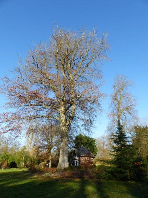 Chambre E Andre Le Domaine Des Jardins De Bracquetuit Exterior photo